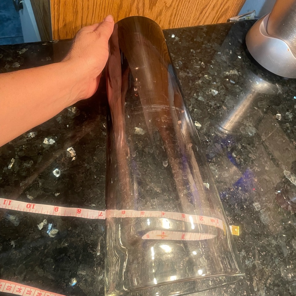 Elegant Black and Clear Glass Vase floral